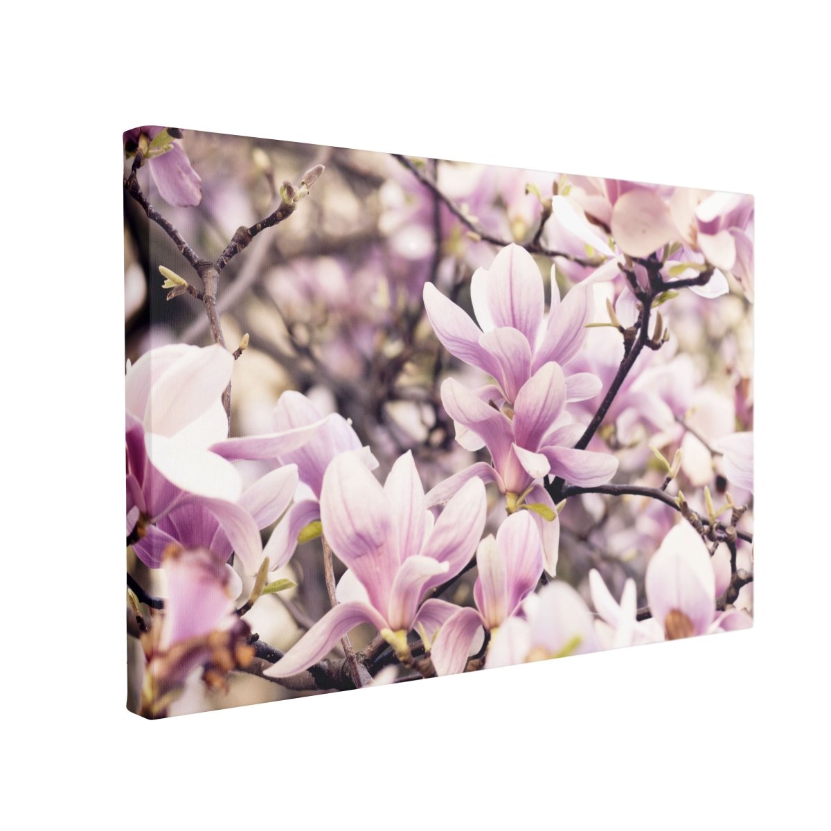 Tablou Canvas Magnolia - clevny.ro