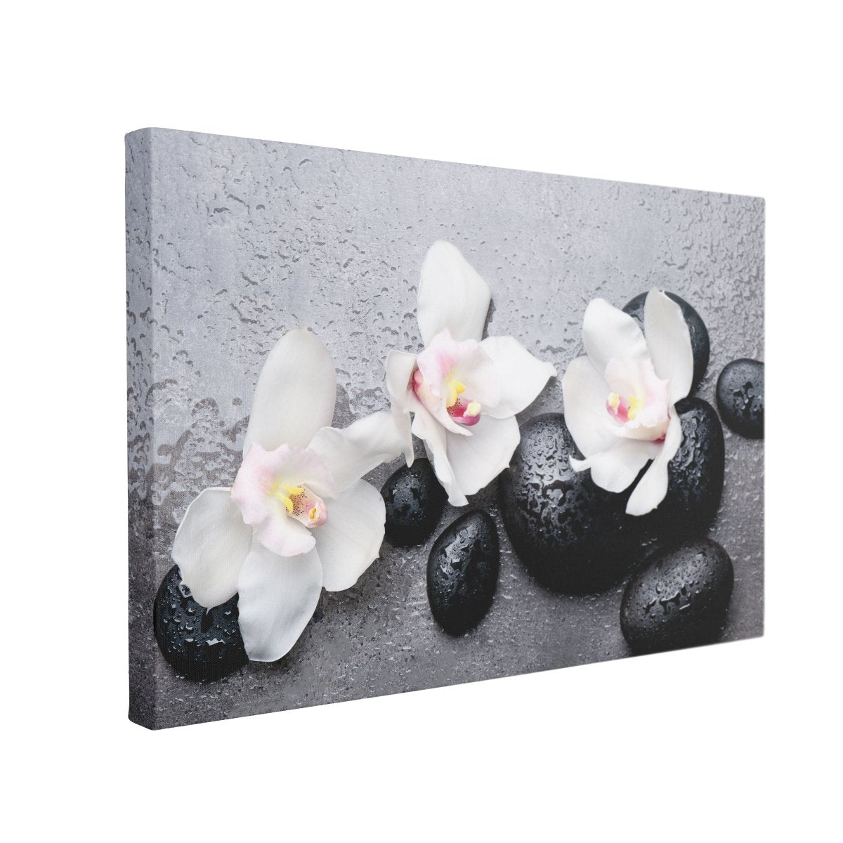 Tablou Canvas Orchids on Black Stones - clevny.ro