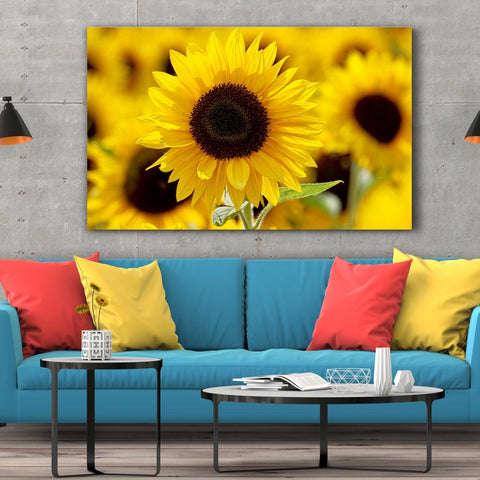 Tablou Canvas Sunflower Field - clevny.ro