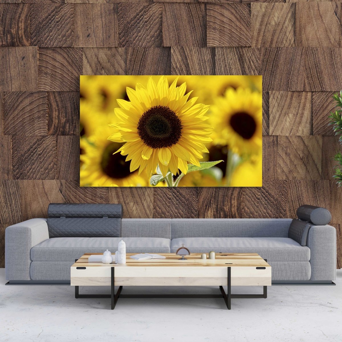 Tablou Canvas Sunflower Field - clevny.ro