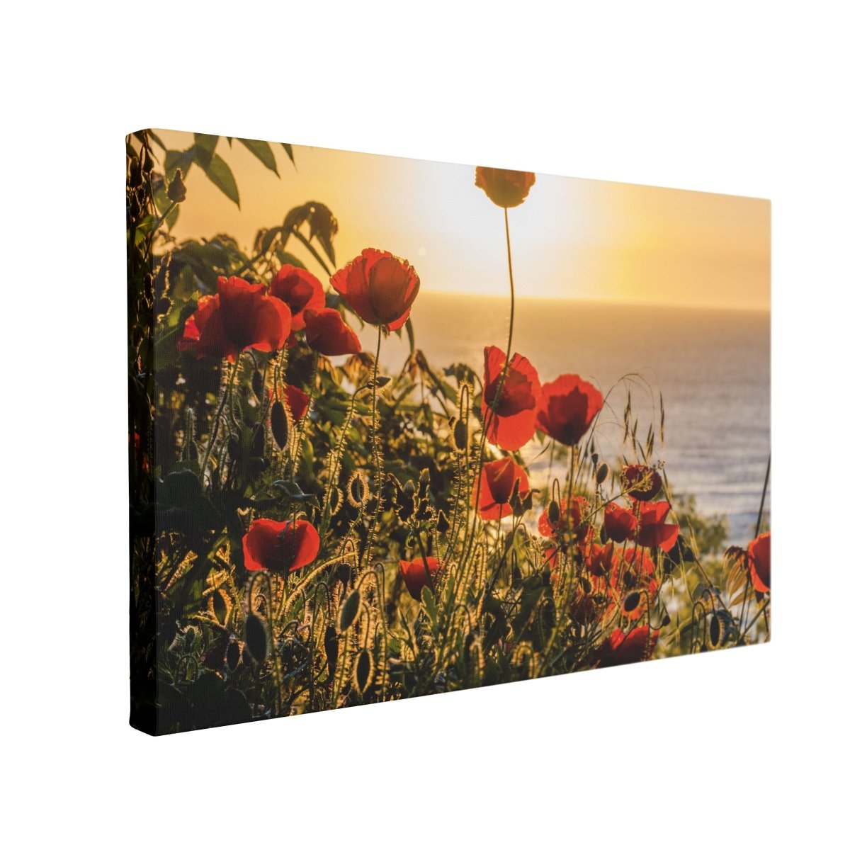 Tablou Canvas Sunset with Poppy Flowers - clevny.ro