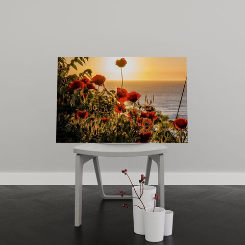 Tablou Canvas Sunset with Poppy Flowers - clevny.ro