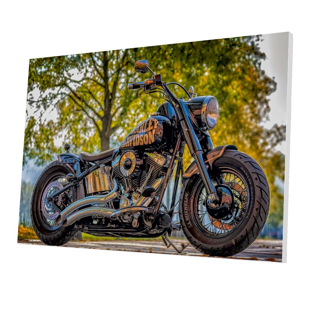 Tablou Forex Motorcycle Harley Davidson - clevny.ro